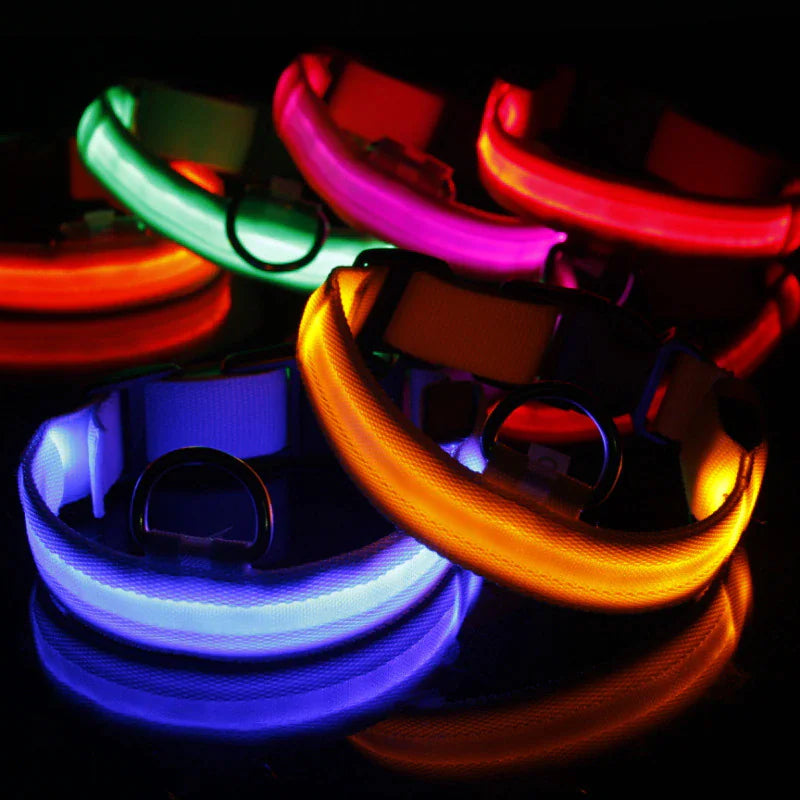 LED Light-Up Dog Collar – Waterproof, Adjustable & Ultra Bright Safety for Night Walks