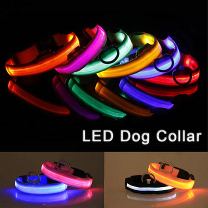 LED Light-Up Dog Collar – Waterproof, Adjustable & Ultra Bright Safety for Night Walks