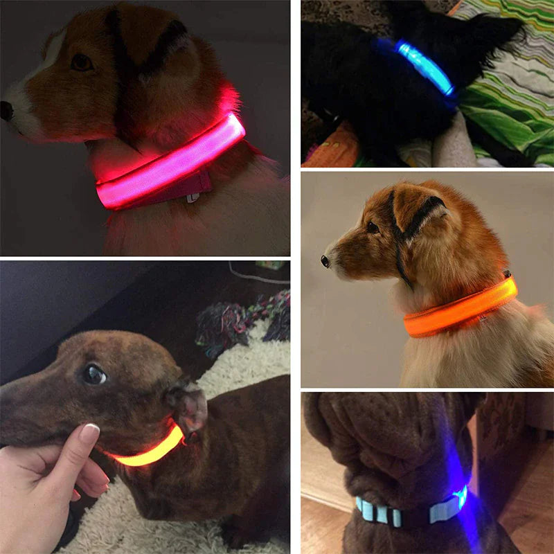 LED Light-Up Dog Collar – Waterproof, Adjustable & Ultra Bright Safety for Night Walks