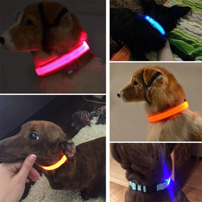 LED Light-Up Dog Collar – Waterproof, Adjustable & Ultra Bright Safety for Night Walks