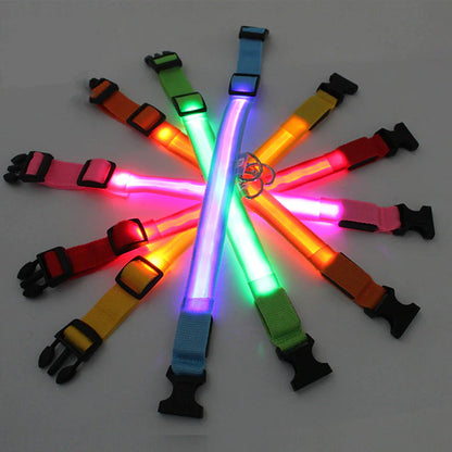 LED Light-Up Dog Collar – Waterproof, Adjustable & Ultra Bright Safety for Night Walks