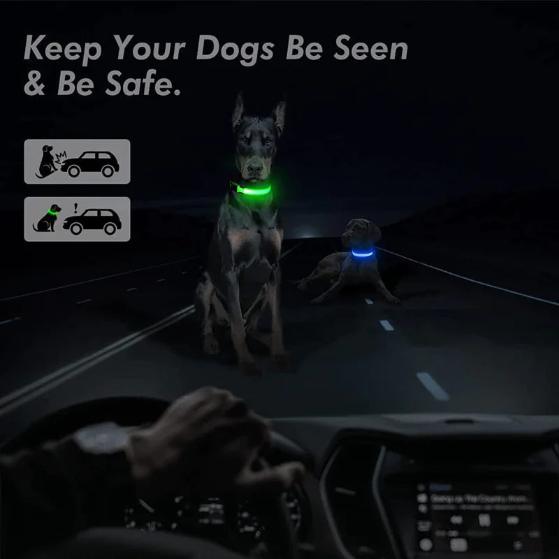 LED Light-Up Dog Collar – Waterproof, Adjustable & Ultra Bright Safety for Night Walks