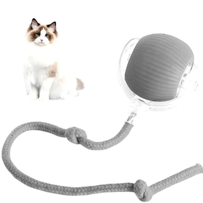Smart AI Pet Rolling Ball 2025 – Auto-Charging Interactive Toy for Cats & Dogs (Obstacle Avoidance + 3 Play Modes)