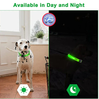 LED Light-Up Dog Collar – Waterproof, Adjustable & Ultra Bright Safety for Night Walks