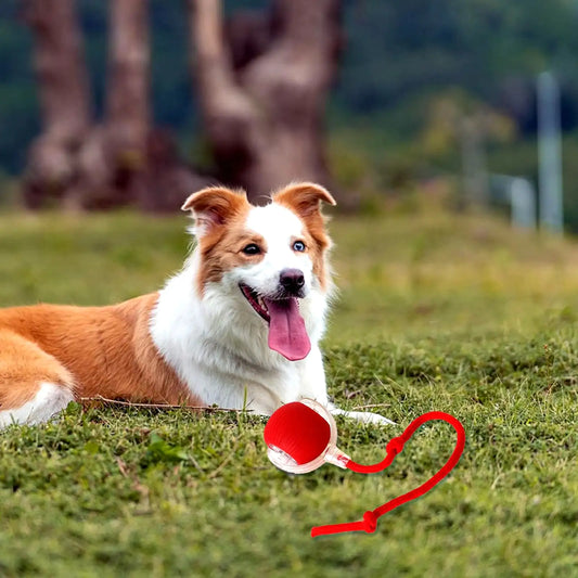 Smart AI Pet Rolling Ball 2025 – Auto-Charging Interactive Toy for Cats & Dogs (Obstacle Avoidance + 3 Play Modes)