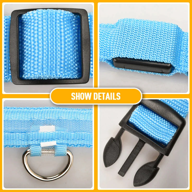LED Light-Up Dog Collar – Waterproof, Adjustable & Ultra Bright Safety for Night Walks