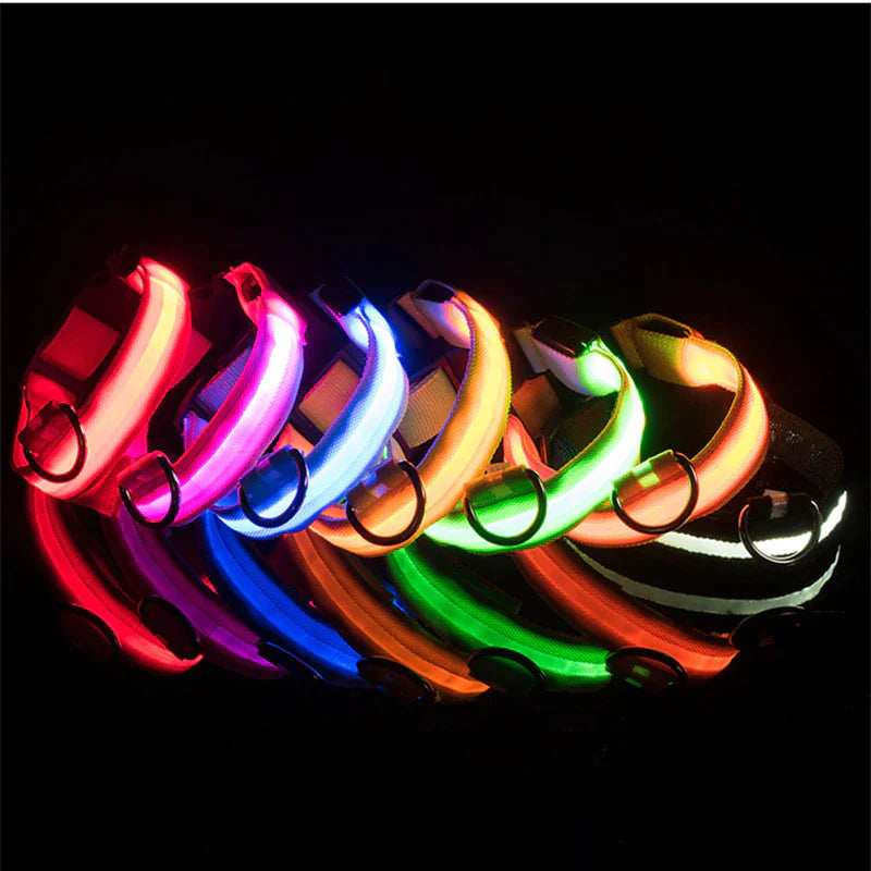 LED Light-Up Dog Collar – Waterproof, Adjustable & Ultra Bright Safety for Night Walks