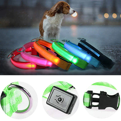 LED Light-Up Dog Collar – Waterproof, Adjustable & Ultra Bright Safety for Night Walks