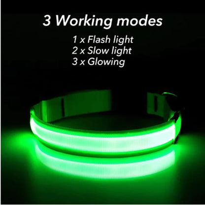 LED Light-Up Dog Collar – Waterproof, Adjustable & Ultra Bright Safety for Night Walks
