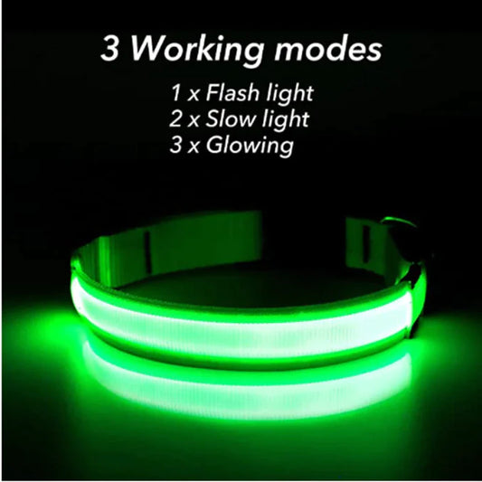 LED Light-Up Dog Collar – Waterproof, Adjustable & Ultra Bright Safety for Night Walks