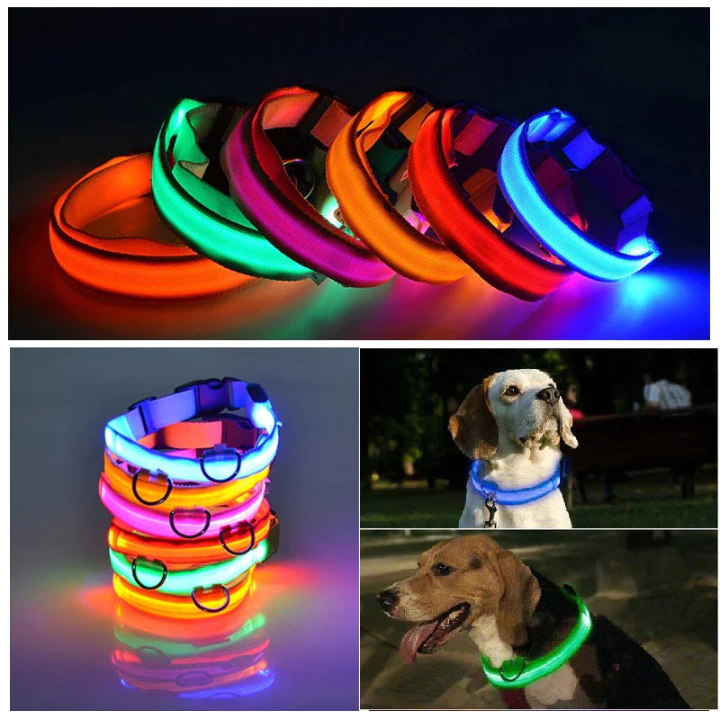 LED Light-Up Dog Collar – Waterproof, Adjustable & Ultra Bright Safety for Night Walks
