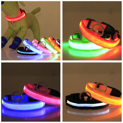 LED Light-Up Dog Collar – Waterproof, Adjustable & Ultra Bright Safety for Night Walks