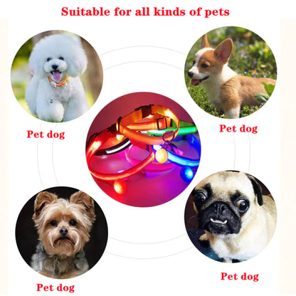 LED Light-Up Dog Collar – Waterproof, Adjustable & Ultra Bright Safety for Night Walks