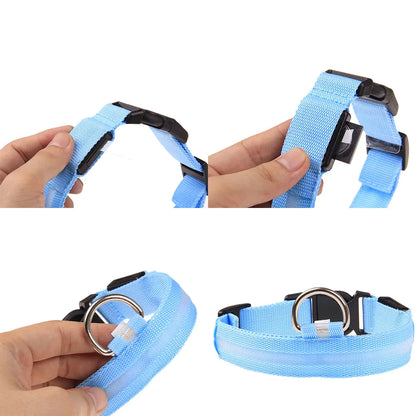 LED Light-Up Dog Collar – Waterproof, Adjustable & Ultra Bright Safety for Night Walks