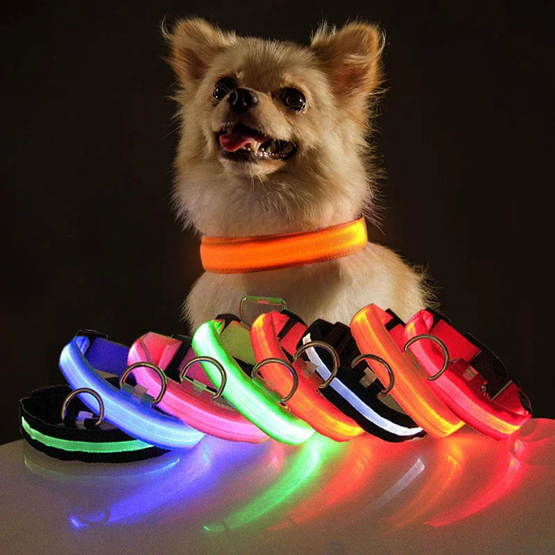 LED Light-Up Dog Collar – Waterproof, Adjustable & Ultra Bright Safety for Night Walks