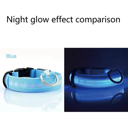 LED Light-Up Dog Collar – Waterproof, Adjustable & Ultra Bright Safety for Night Walks